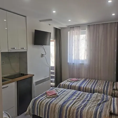 Apartment Aleksandar 2