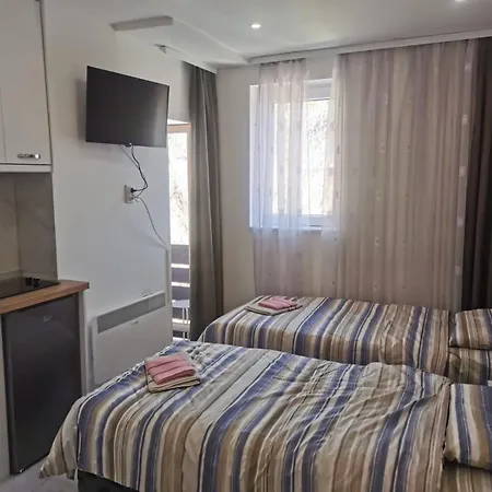 Apartment Aleksandar 2 *